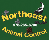 Northeast Animal Control